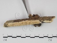 登錄號:F0011157藏品圖，第3張