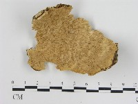 登錄號:F0011159藏品圖，第1張