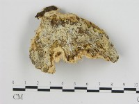 登錄號:F0011159藏品圖，第3張