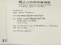 相鄰小孔菌藏品圖，第2張