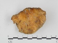 登錄號:F0011162藏品圖，第3張