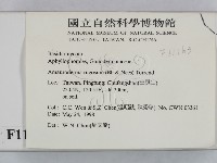 登錄號:F0011163藏品圖，第2張