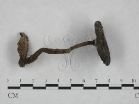 登錄號:F0011163藏品圖，第1張