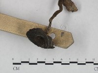 登錄號:F0011163藏品圖，第4張