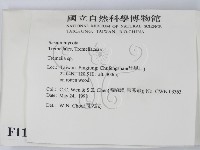 銀耳屬藏品圖，第2張