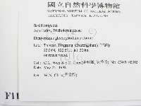 登錄號:F0011167藏品圖，第2張