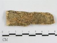 登錄號:F0011167藏品圖，第1張