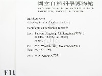 登錄號:F0011170藏品圖，第2張
