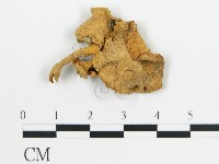 登錄號:F0011170藏品圖，第1張