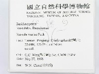 登錄號:F0011171藏品圖，第2張