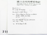 登錄號:F0011172藏品圖，第2張