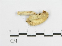 登錄號:F0011172藏品圖，第3張
