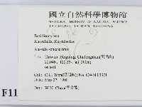 登錄號:F0011173藏品圖，第2張