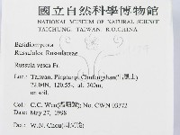登錄號:F0011174藏品圖，第2張