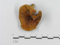 登錄號:F0011174藏品圖，第1張