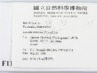 登錄號:F0011175藏品圖，第2張