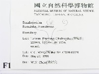 紅菇屬藏品圖，第2張
