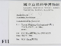 登錄號:F0011177藏品圖，第2張