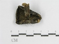 登錄號:F0011177藏品圖，第1張