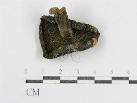 登錄號:F0011177藏品圖，第4張
