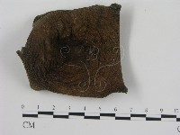 登錄號:F0011179藏品圖，第1張