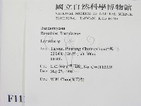 乳菇屬藏品圖，第2張