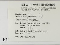 登錄號:F0011183藏品圖，第2張