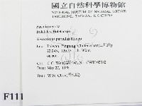 登錄號:F0011184藏品圖，第2張