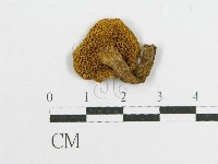 登錄號:F0011184藏品圖，第3張