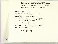 登錄號:F0011185藏品圖，第2張