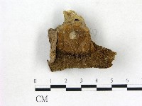 登錄號:F0011185藏品圖，第1張
