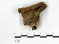 登錄號:F0011185藏品圖，第3張