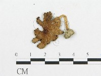 登錄號:F0011188藏品圖，第3張