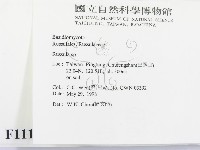 紅菇屬藏品圖，第2張