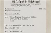 登錄號:F0011196藏品圖，第8張
