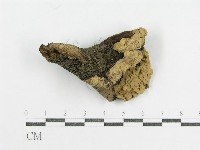 登錄號:F0011197藏品圖，第1張
