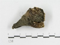 登錄號:F0011197藏品圖，第3張