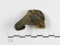 登錄號:F0011197藏品圖，第4張