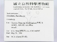 紅菇屬藏品圖，第2張