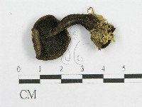 登錄號:F0011200藏品圖，第3張