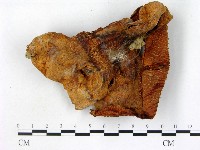 登錄號:F0011201藏品圖，第3張