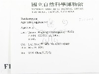 傘菌屬藏品圖，第2張