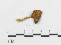 登錄號:F0011206藏品圖，第1張