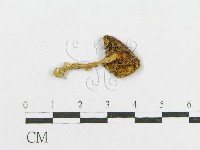 登錄號:F0011206藏品圖，第3張