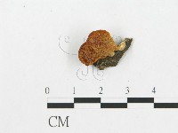 登錄號:F0011207藏品圖，第3張