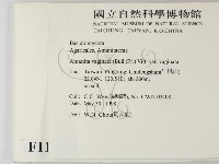登錄號:F0011209藏品圖，第2張