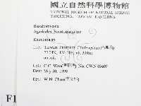 粉褶菌屬藏品圖，第2張