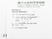 登錄號:F0011212藏品圖，第2張
