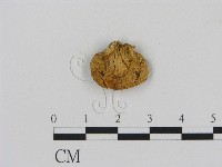 登錄號:F0011214藏品圖，第1張