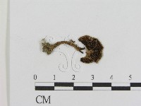 登錄號:F0011215藏品圖，第1張